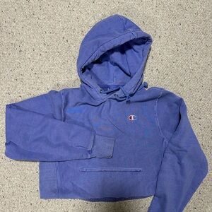Champions reverse weave small cropped hoodie purple/blue